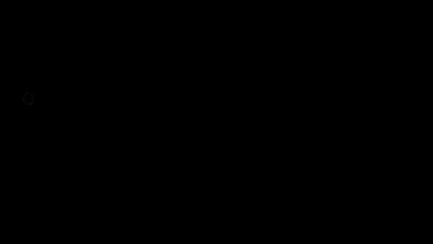 20041